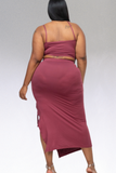 Plus Size Top and Skirt Set